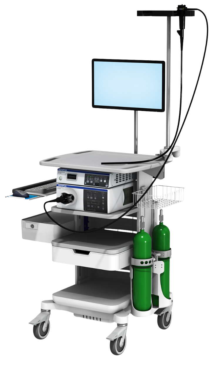 Untitled design (13)